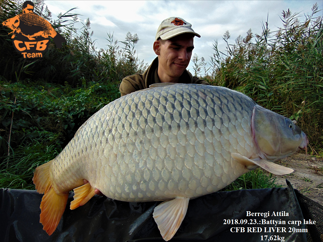 Évszak váltásban a Battyán Carp Lake-n