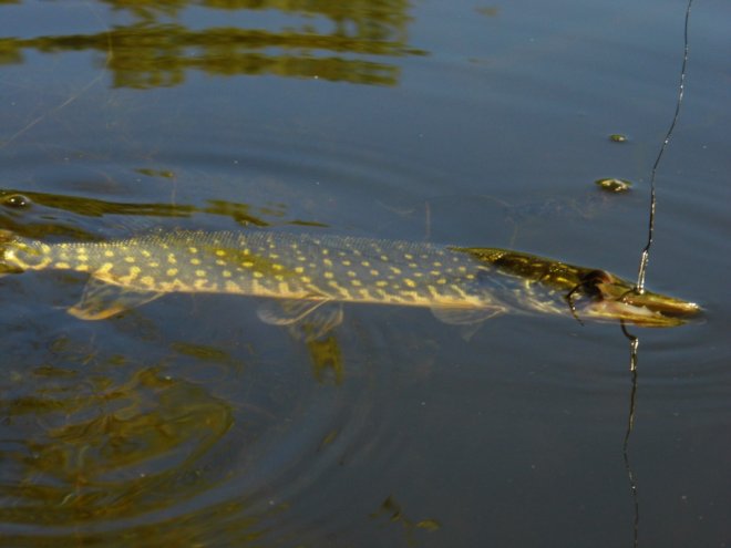 A szeptemberi őszben