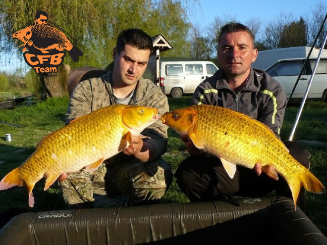 VII. Szigetestó Bojlis Kupa Carp Friend Baits Győzelem