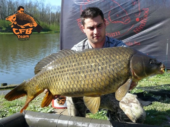 VII. Szigetestó Bojlis Kupa Carp Friend Baits Győzelem