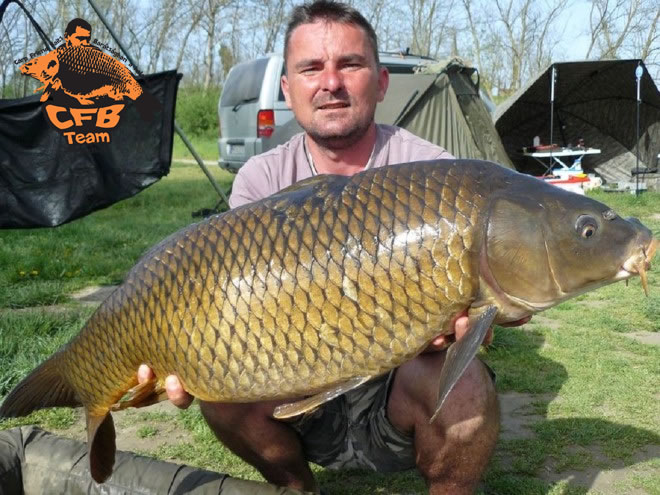 VII. Szigetestó Bojlis Kupa Carp Friend Baits Győzelem