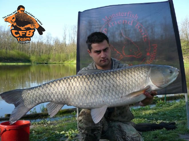 VII. Szigetestó Bojlis Kupa Carp Friend Baits Győzelem