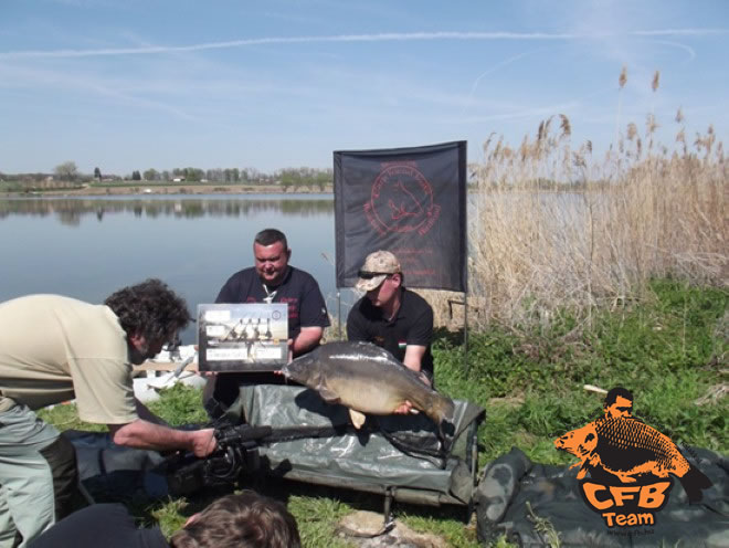 II. Carp & Catfish Days Merenye 2013.