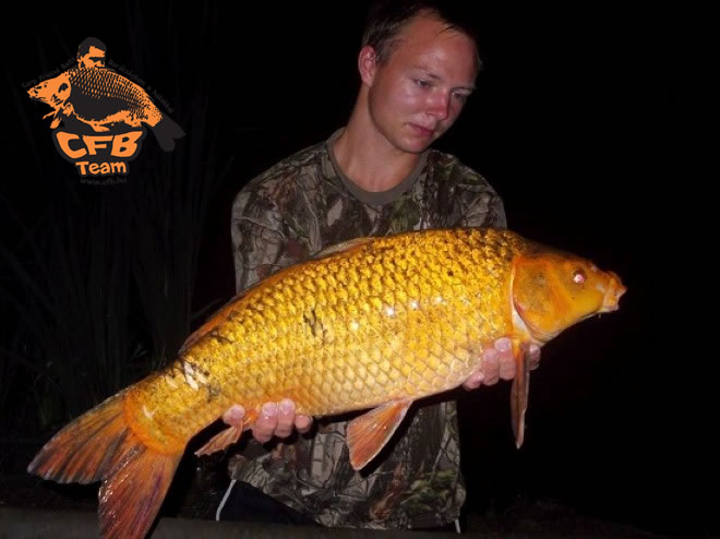 Carp Friend Baits-el a Kiskorpádi Szigetes tavon...