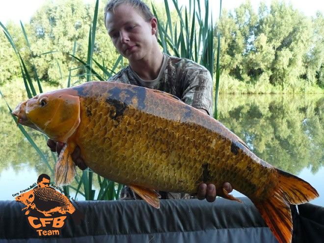 Carp Friend Baits-el a Kiskorpádi Szigetes tavon...