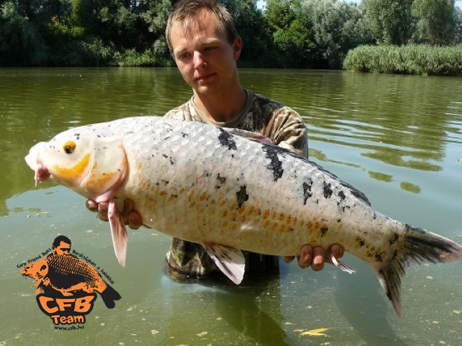 Carp Friend Baits-el a Kiskorpádi Szigetes tavon...