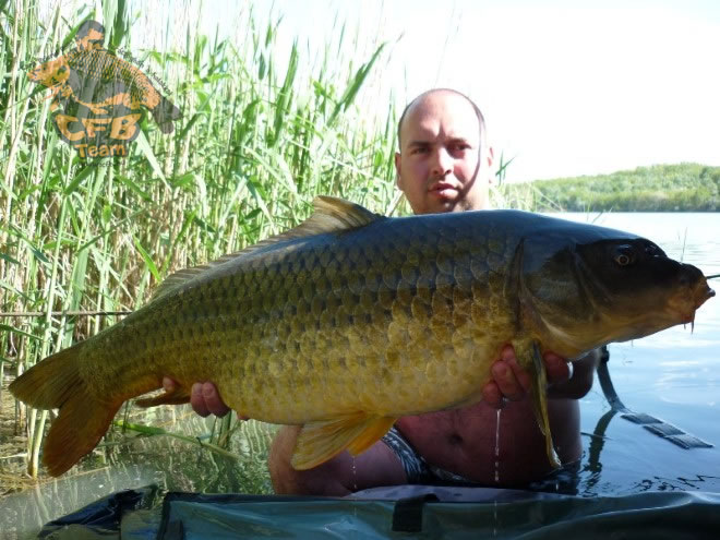 Újra Ecséden, amurokkal és pontyokkal!