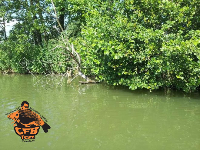 Amikor a természet megálljt parancsol