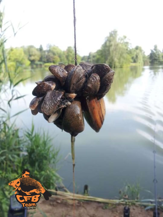 Amikor a természet megálljt parancsol