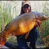 16,5 kg - Kiss Vica - CFB Green Beast