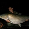 21,50 kg - Szalai Gergő - CFB Birdfood